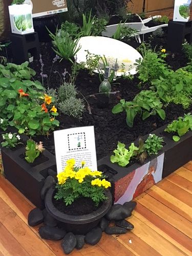 The exhibit included a weather station and fish!