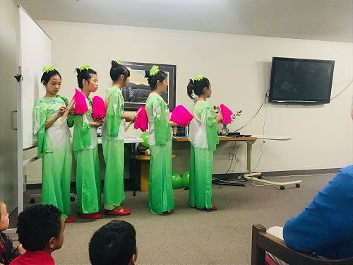 St Allisa Cultural Visit - T1 2019 - Team Harakeke