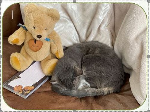 This year Teddy was ready to make a list with all the things he enjoyed doing while in Fabiana’s bubble last year… 