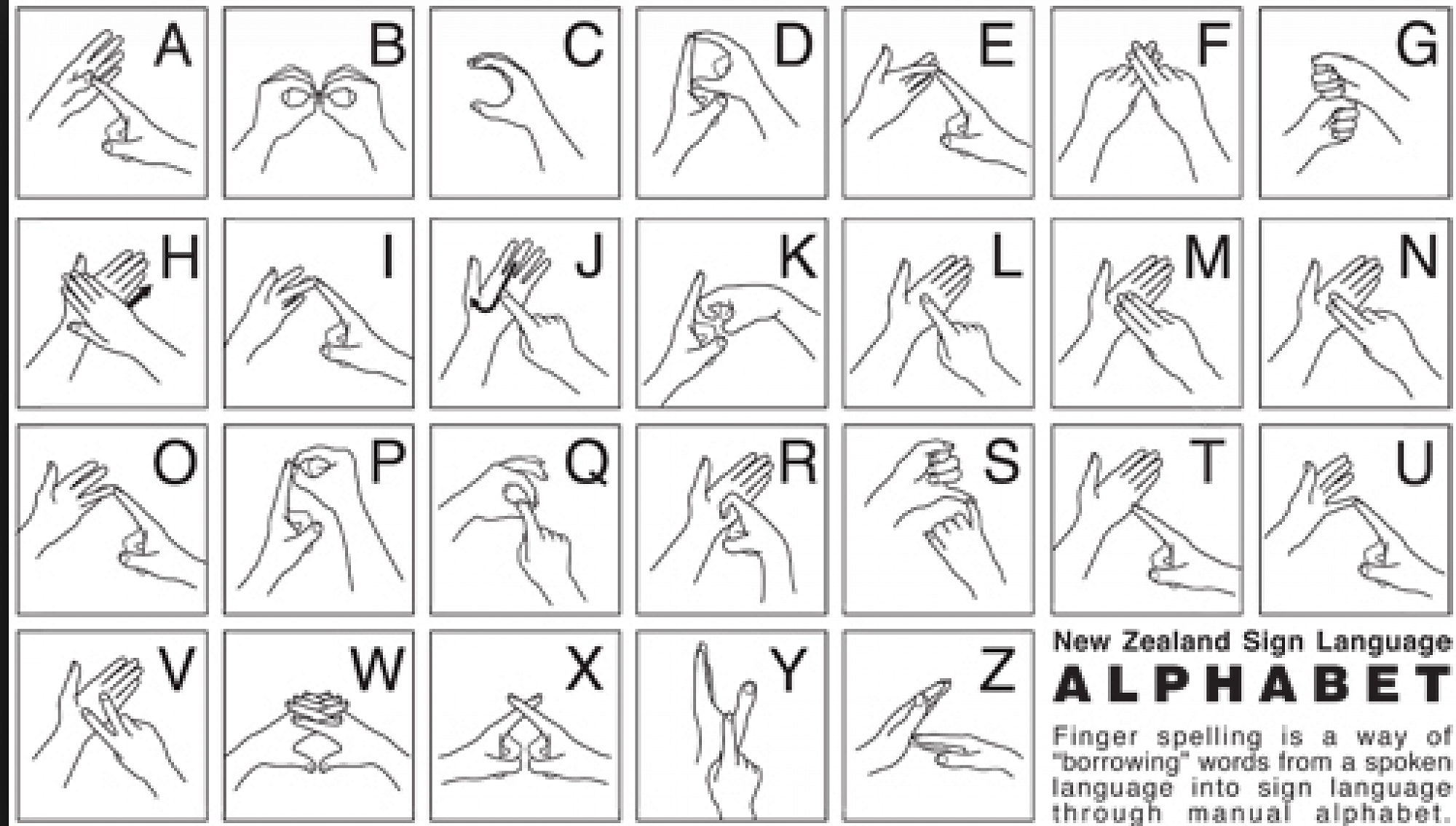 sign-language-is-being-used-in-te-pa-harakeke