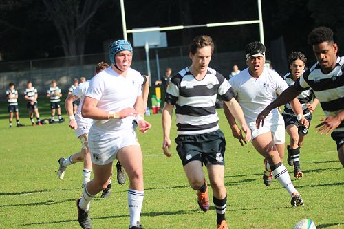 1st XV vs New Plymouth Boys' High School