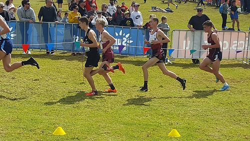 Andres Hernandez at the Australia Cross Country Championships