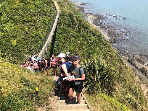 Paekakariki Escarpment Track: TeAraroa