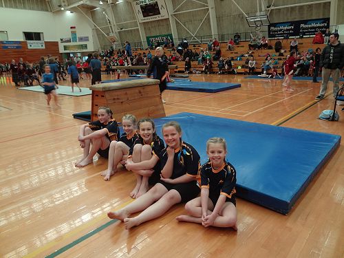 Gymnastics Festival 2016