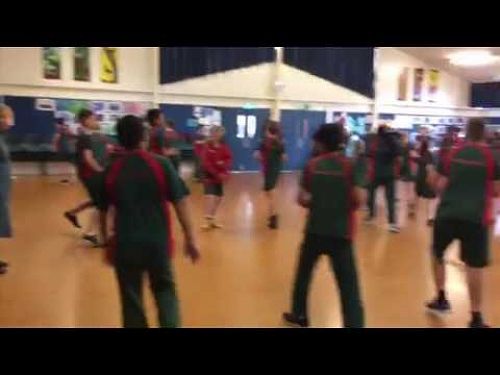 Video: Cotton Eye Joel