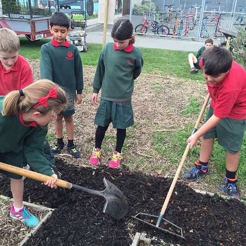 Helping out in the Food Forest
