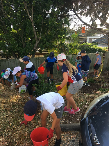 Room 10  in the school garden learning about plants