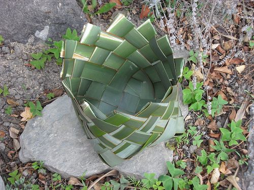 Maya from Room 9 created her own kete. Here's a brief description of her challenge: "It took me about two hours to make including cutting and stripping the leaves."