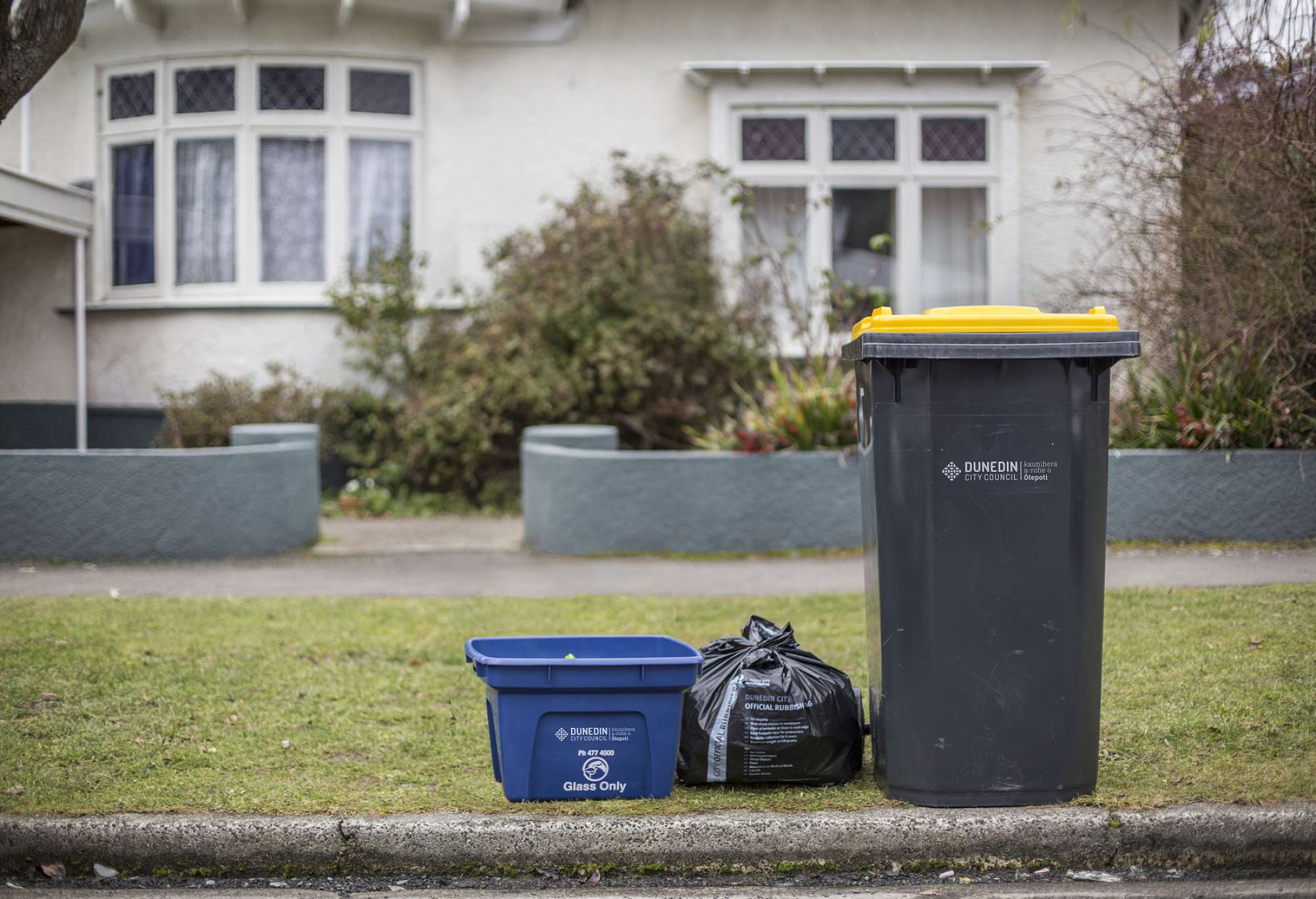 WHAT NEW BINS TO EXPECT