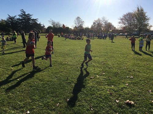 Cross Country Day - Awa