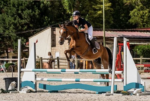 Precision skills in action