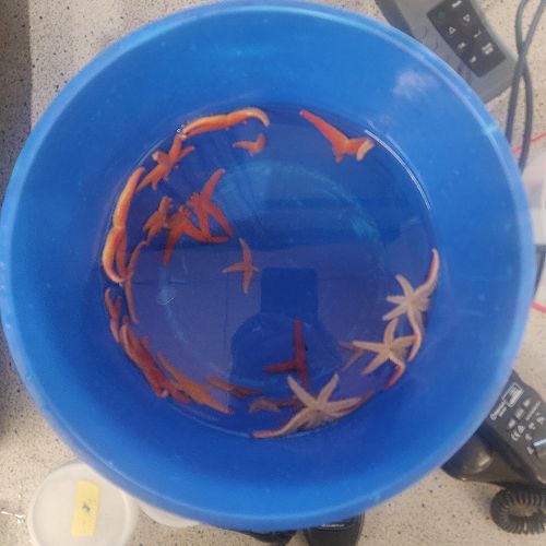 Level 3 Earth and Space Science