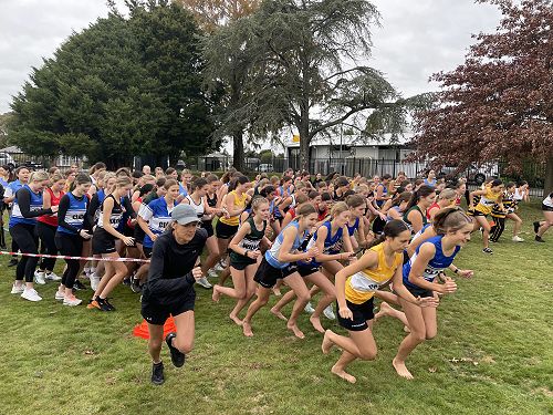 School cross country