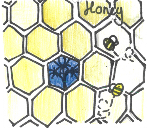 Olivia Coutts     Rm P2