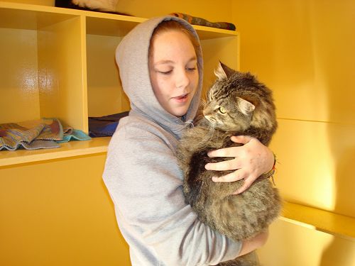 Gateway work placement