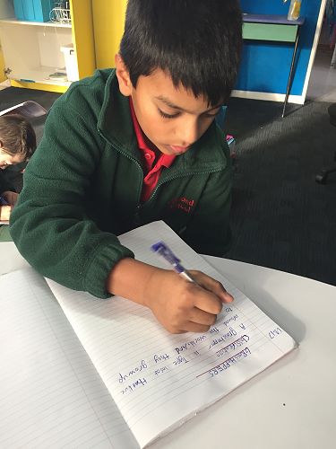 Writing Information Reports