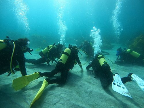 PADI open water diving course