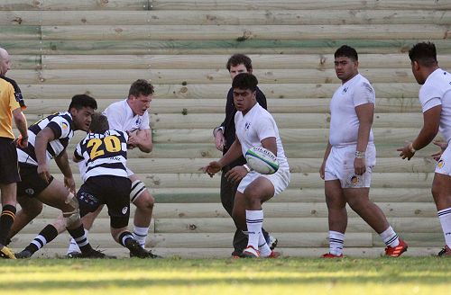 1st XV vs New Plymouth Boys' High School