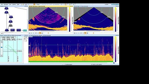 Video: Echoview & WASSP Multibeam – Kelp Bed Evaluation