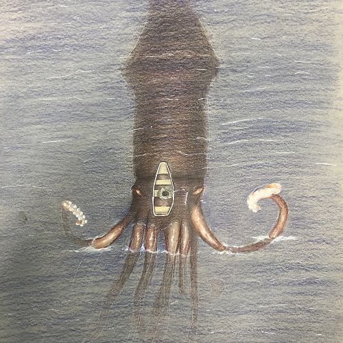 A colossal squid is swimming beneath a lone fisherman. Does he know what’s lurking in the depths?