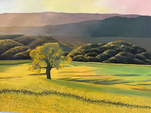 Bayleigh Cornelissen