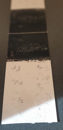 A section of an ink card with mouse prints. This ink card was set in a tracking tunnel near the bushes by Punawai block.