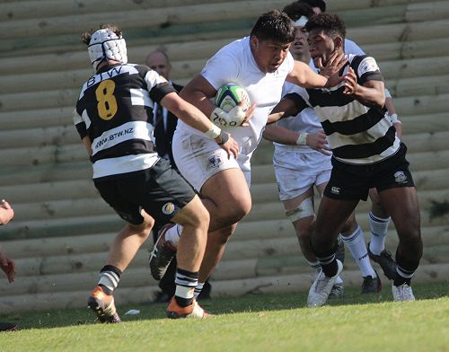 1st XV vs New Plymouth Boys' High School