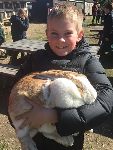 Arion Park cuddles with the giant bunnies!