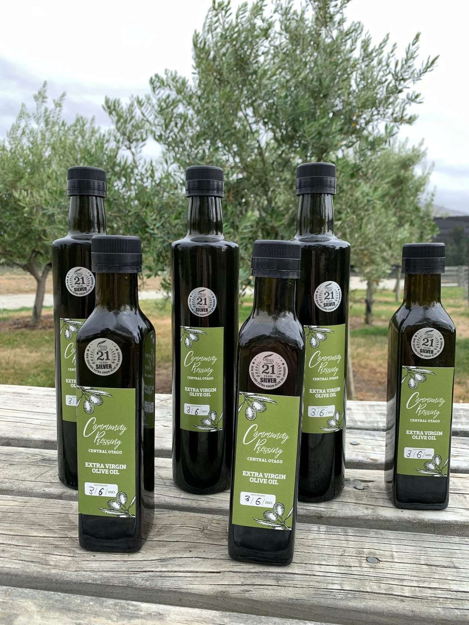 Olive Community Pressing Day 2023 bring your Olives