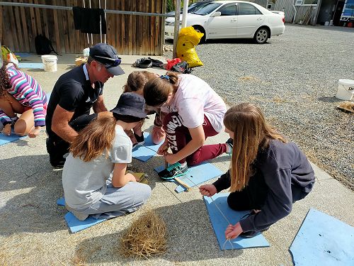 Stars Tahi Mahi Days 2022