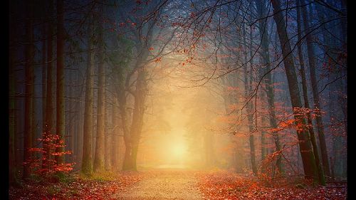 Video: Vivaldi - Autumn