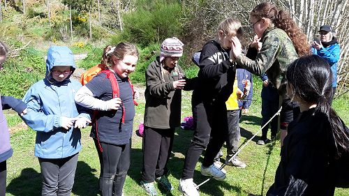 Working on the team challenge