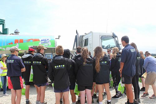 Lincoln Dairy Farm Open Day