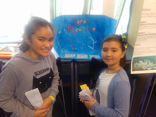 Coral bleaching...another effect of global warming..the girls 3D model was engaging.