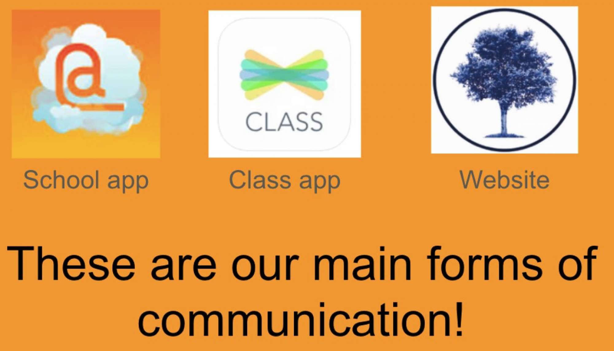 Fairfield School Levin