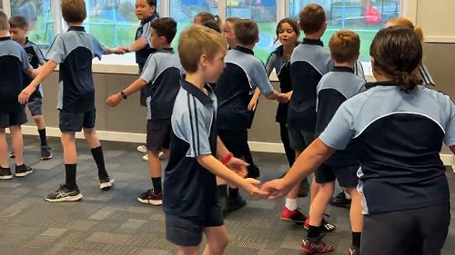 Video: Korimako partner