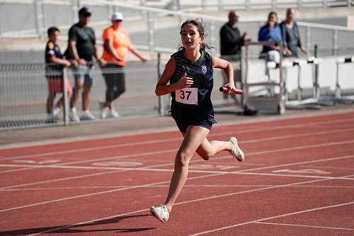Harlow striding the home stretch