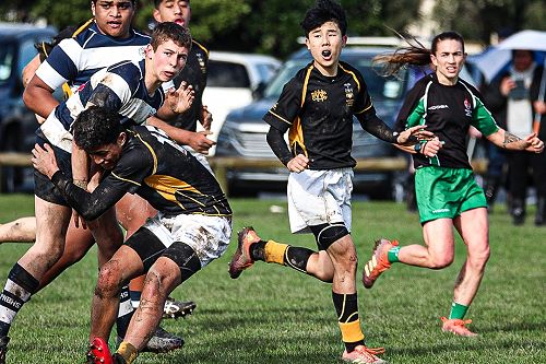 PNBHS Colts Rugby v Wellington College 