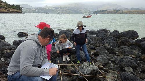 MM2 - doing the count