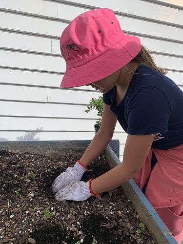Planting flowers at Linden School