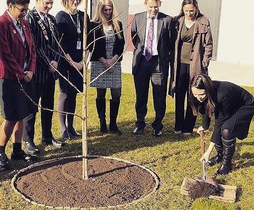 Dirt being returned under the Memorial Tree