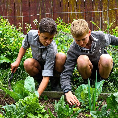 Year 10 Horticulture