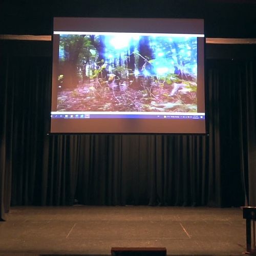 Video: PNBHS Matariki Fiafia Festival 2021