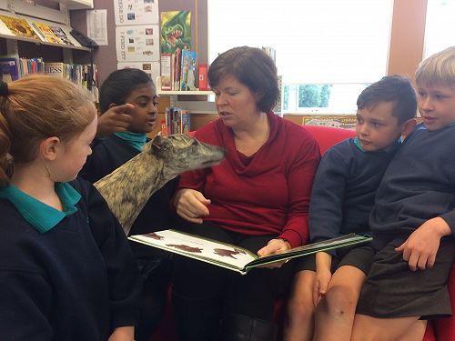 Amanda Simpson + Zola - Library Manager May 2017