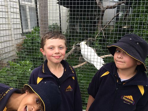 Solomon, Ryley and Luca.