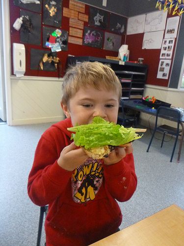 Our lettuces made the best sandwiches. 