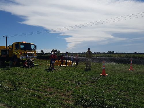 Scion Research - Team Kahikatea