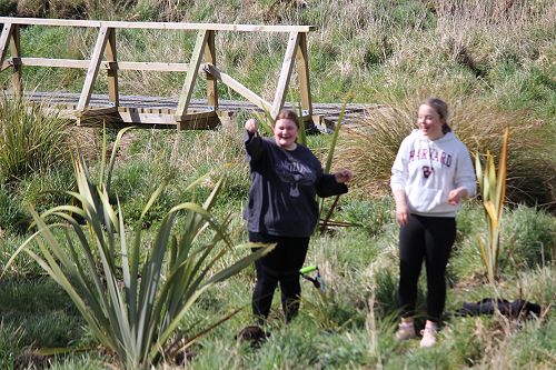 Tree Planting at Berwick