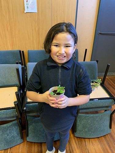 Christchurch Provisions