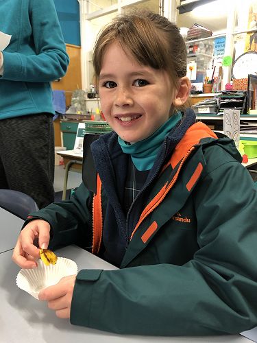 And the verdict Meta? Would you eat plantain again?